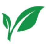Holy foods Icon