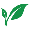 holy foods icon